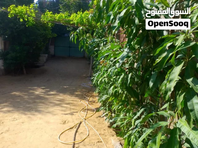 Residential Land for Sale in Ismailia Abu Swear