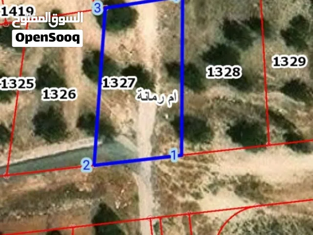 Residential Land for Sale in Zarqa Um Rummanah