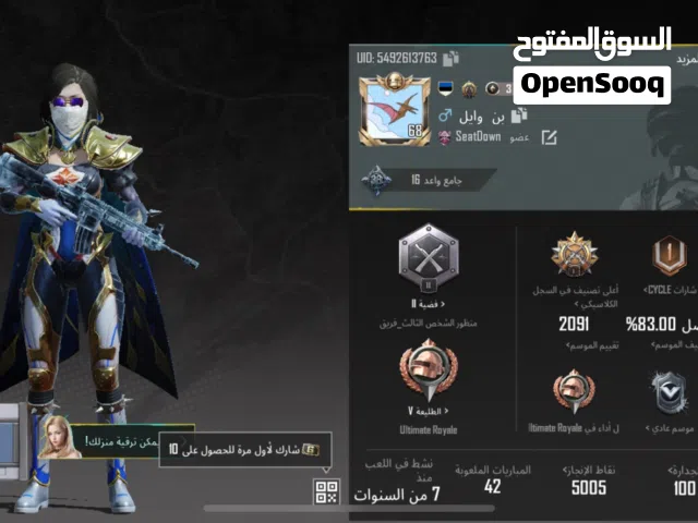 Pubg Accounts and Characters for Sale in Southern Governorate
