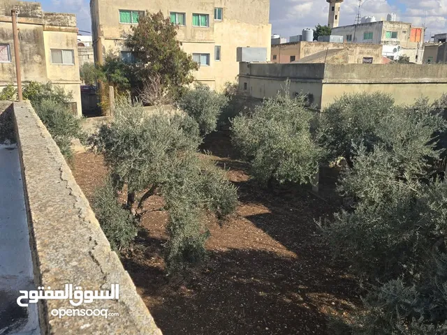 منزل للبيع