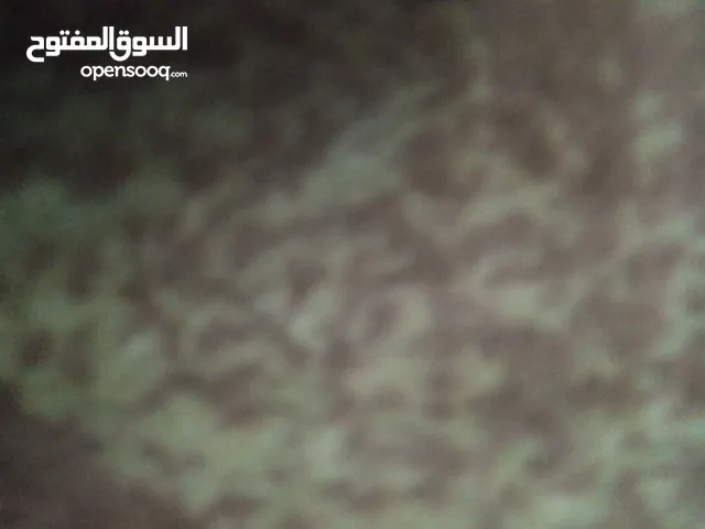 مطلوب مطلوب ورش جزر للغنم