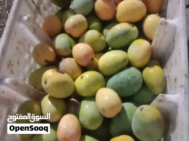 ليمون و حدال وهمبا ناضج اصفر للبيع