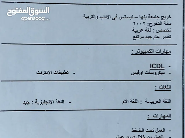 محمد شلبي محمد
