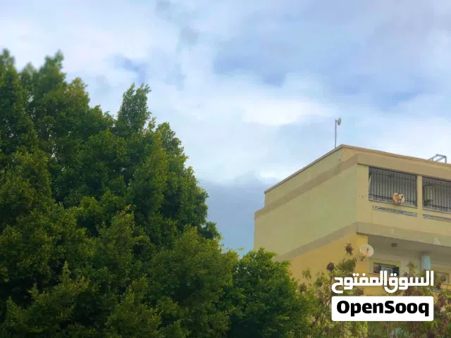 شقة في سيدي المصري بالقرب من جزيرة المدار