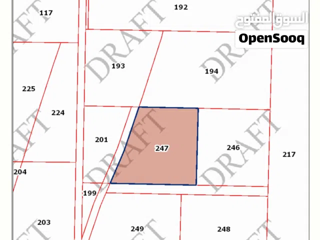 Farm Land for Sale in Amman Al-Quneitirah