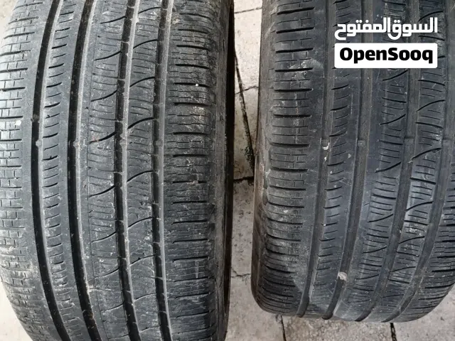 جوز كوشوك نظيف 295 /40