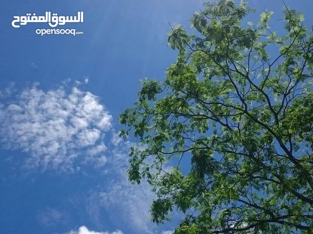 اسراء سحويل
