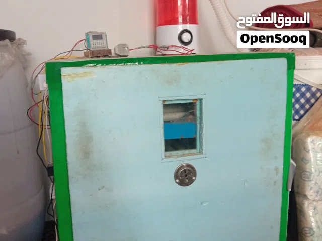 فقاسه تشيل 200بيظه للبيع