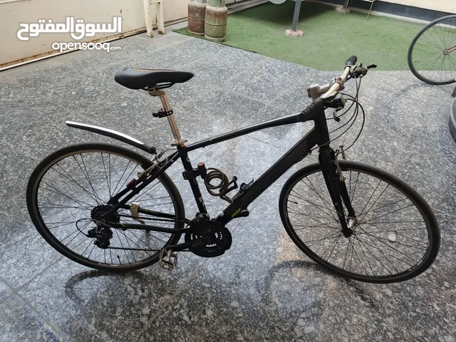 باسكل جاينت حديث
