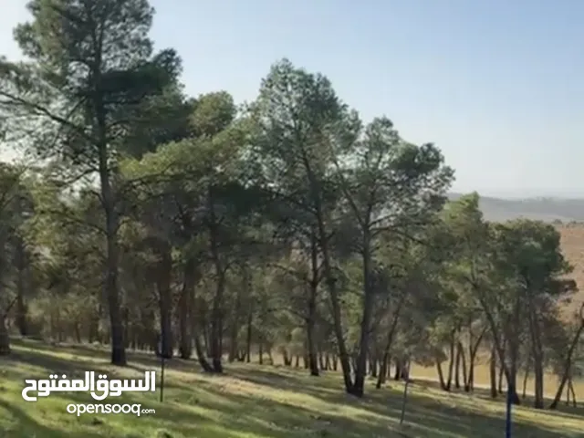ارض مميزه للبيع 3 دونمات ونصف ارض مرتفعه مطله منطقه امنه قطعة الارض تصلح لبناء مزرعة او شاليه