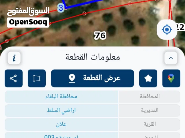 قاسم الزعبي