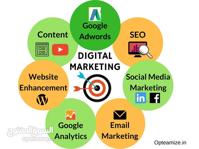 Professional Digital Marketing & Website Development Services