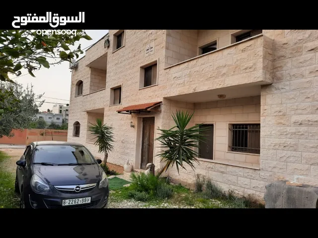85 m2 2 Bedrooms Apartments for Rent in Jenin Al Zababida