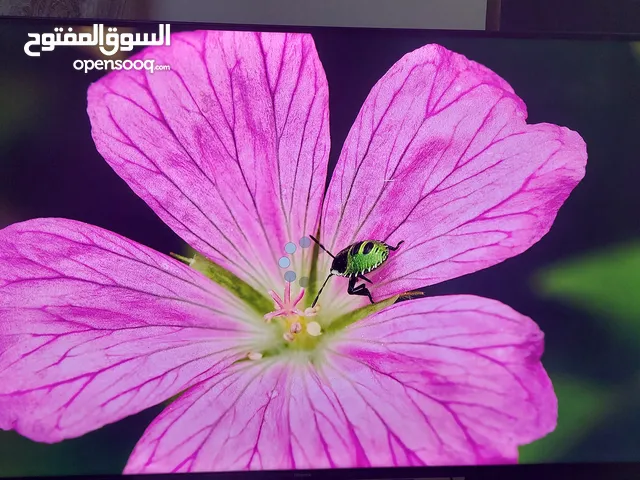 Hisense 4k tv smart