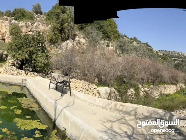 Unfurnished Monthly in Ramallah and Al-Bireh Dayr Ibzi'