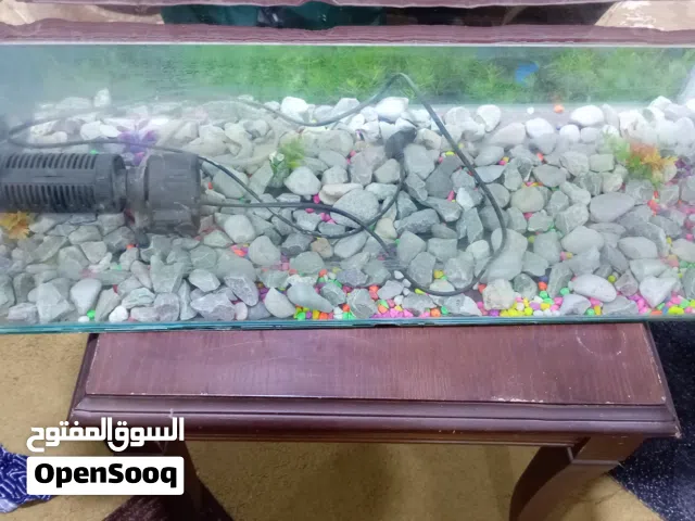 اغراض في حاله الوكاله