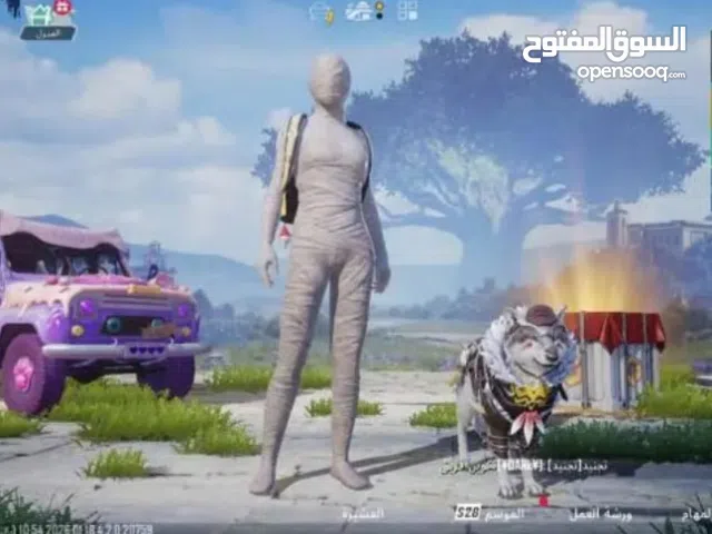 Pubg Accounts and Characters for Sale in Beheira