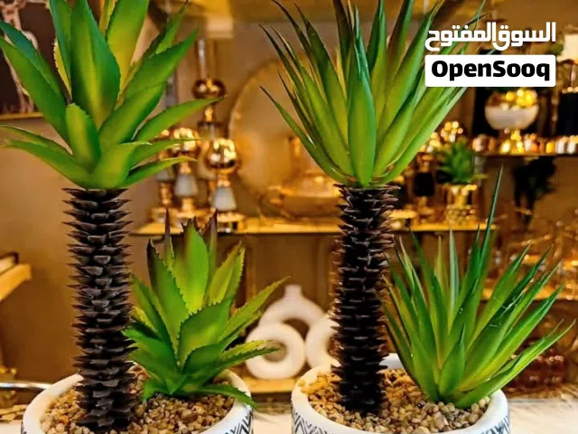 اشجار ونباتات صناعيه مع مراكن