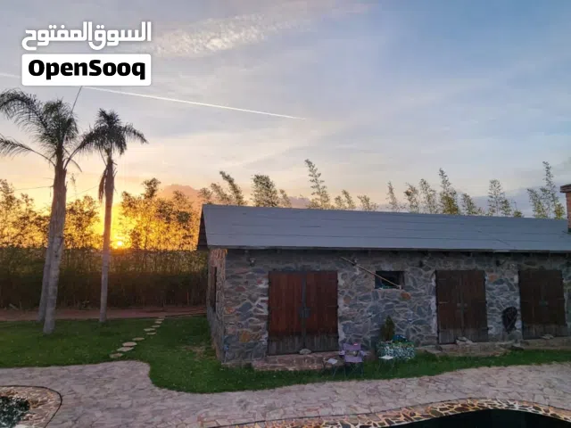مزرعة روعة للبيع مساحتها 1 هكتار ببوزنيقة