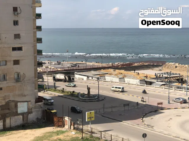 125 m2 2 Bedrooms Apartments for Rent in Alexandria Miami