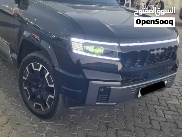 2025 بي واي دي ليوبارد 8