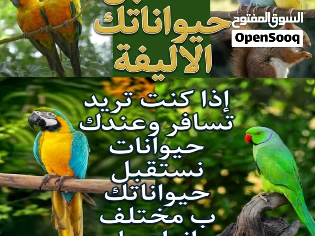 إذا كنت تبغى تسافر نقدر نعتني ب حيواناتك شوف الوصف