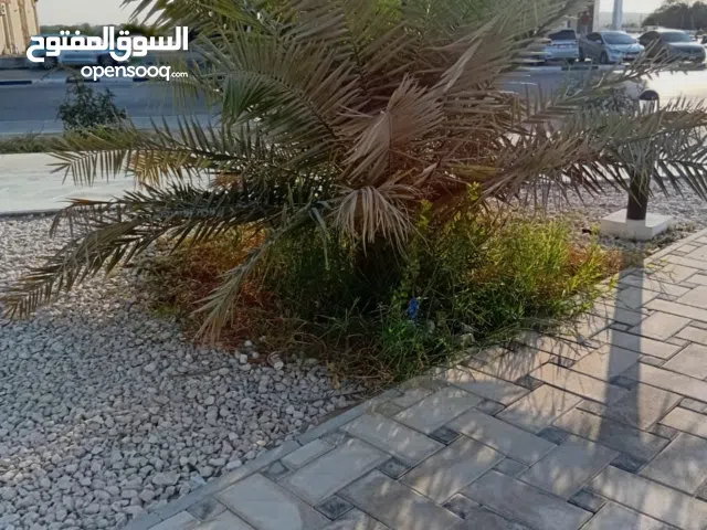 مطلوب من المالك شقة كبيرة 4 او 5 غرف في الشماخةمطلوب من المالكشقة كبيرة 4 او 5 غرف في الشماخة