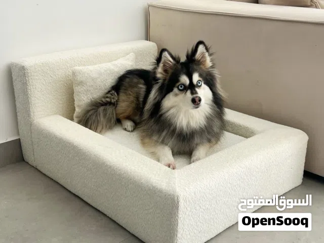 اسرة للكلاب والقطط باحجام مختلفة
