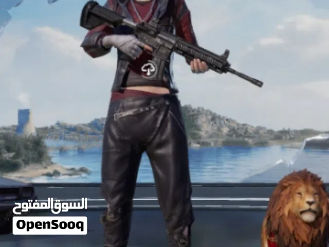 Pubg Accounts and Characters for Sale in Al Bahah