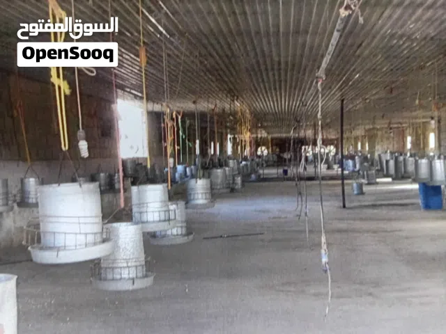 ارض زراعي للبيع