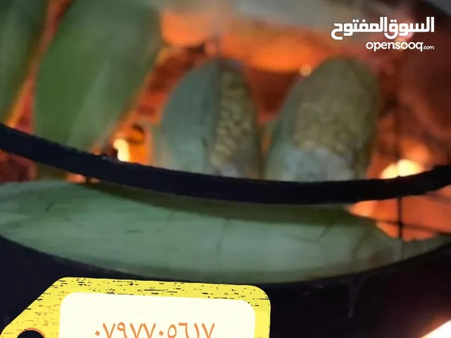 مركب مع صاجية