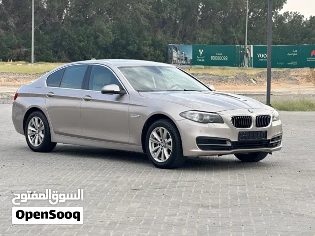 BMW 520 Model: 2014