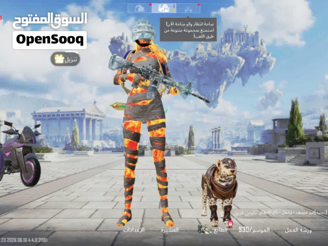 Pubg Accounts and Characters for Sale in Hebron