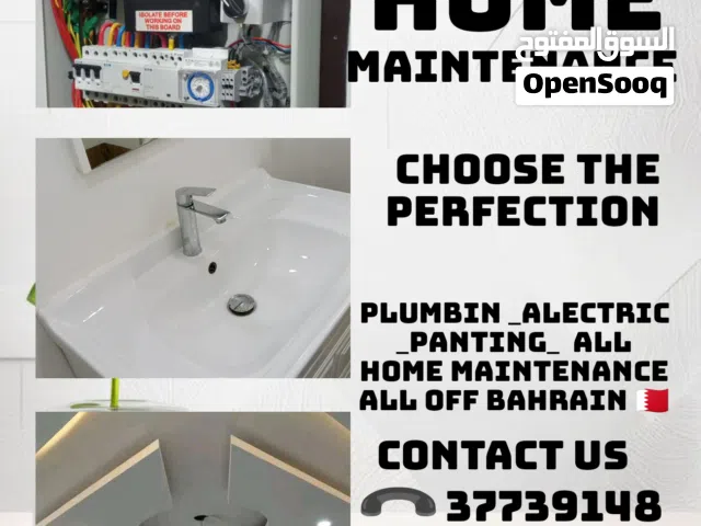 Plumbing Electric all home maintenance
