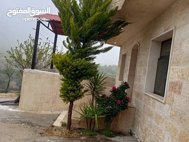 120m2 3 Bedrooms Apartments for Rent in Ajloun I'bbeen