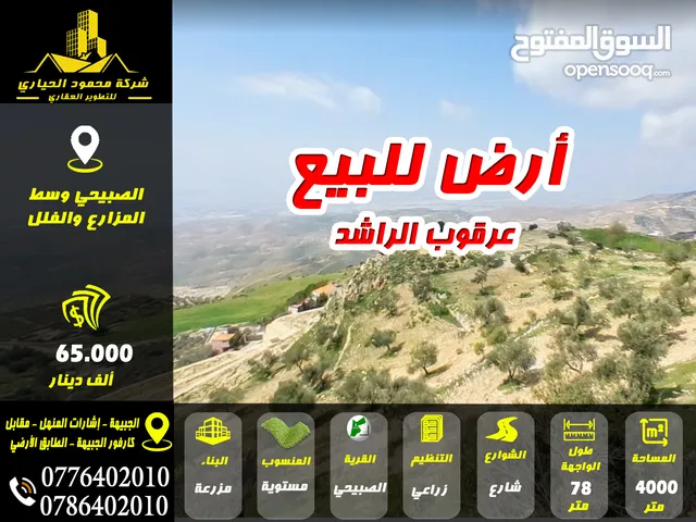 Farm Land for Sale in Salt Al Subeihi