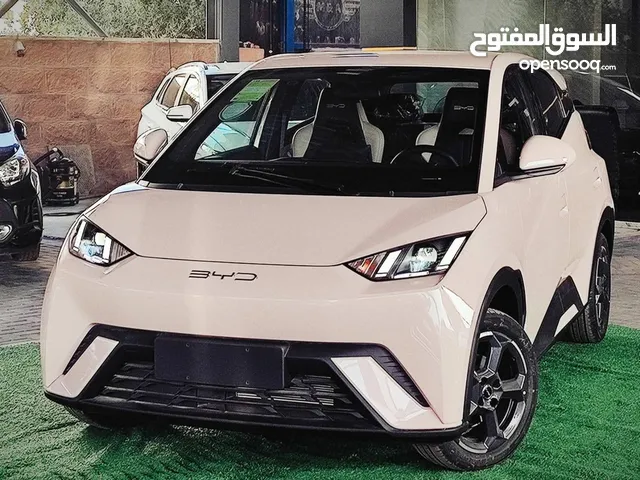Used BYD Seagull in Amman