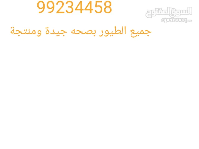 حمام باكستاني