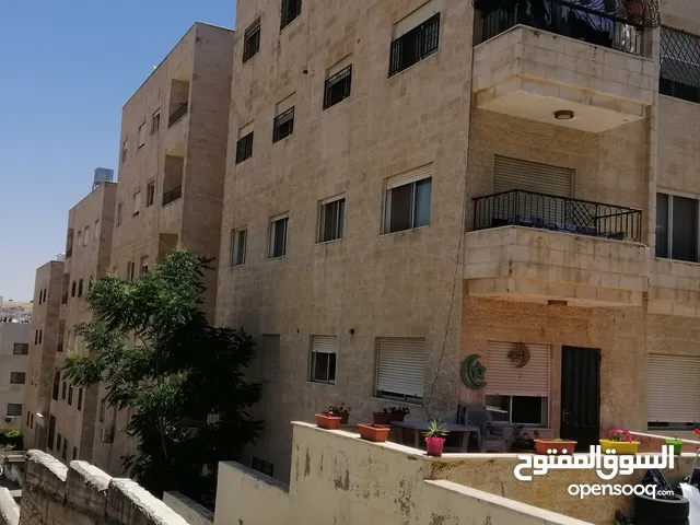 شقة ديلوكس جديدة فاخرة