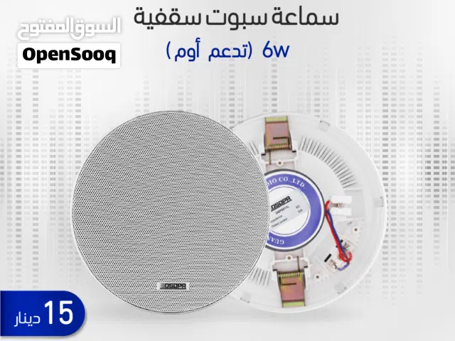 DSPPA DSP6011 – سماعة حائط داخلية (Wall-Mounted Speaker)