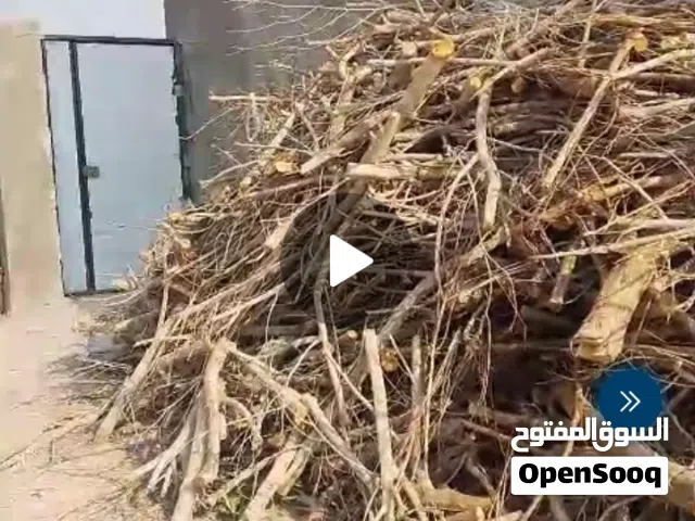 حطب للبيع العنوان هور المسحب