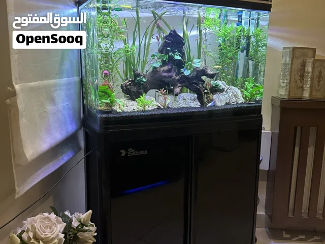 حوض سمك مزروع