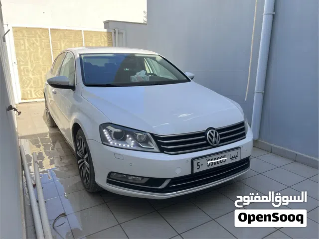 2013 Volkswagen Passat Standard