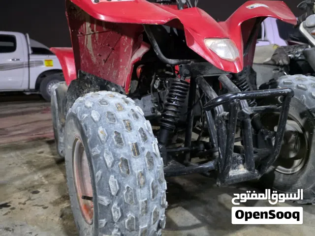 atv 250cc deserts king