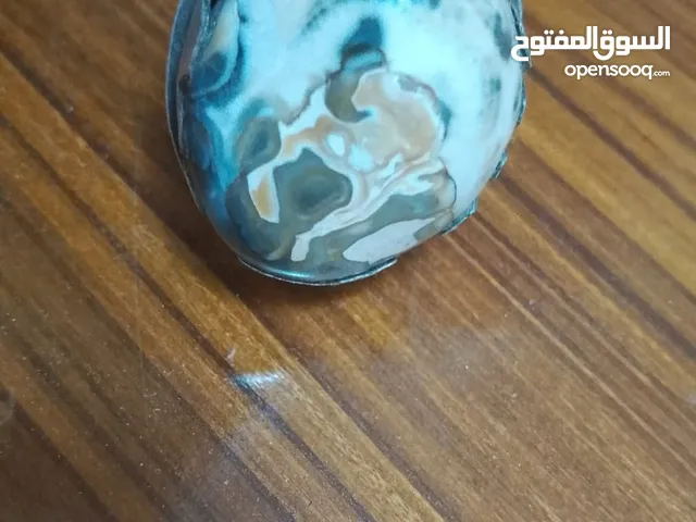 تابع الوصف