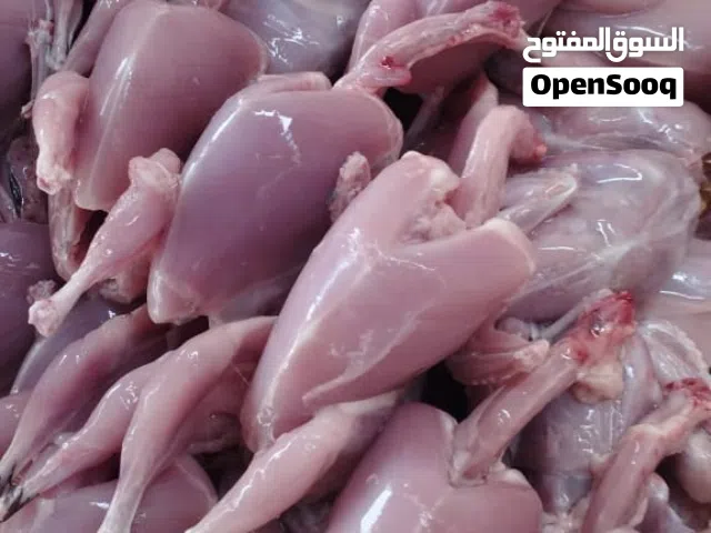 طيور سمان للبيع بسعر مغري
