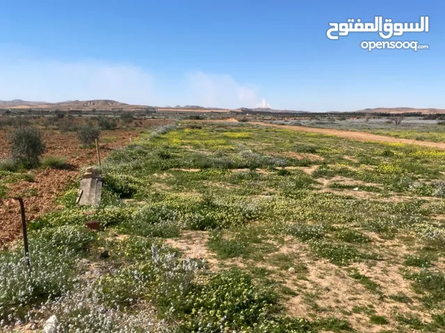 Mixed Use Land for Sale in Tarhuna Other