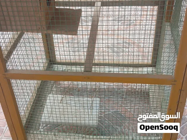 قفص طيور للبيع