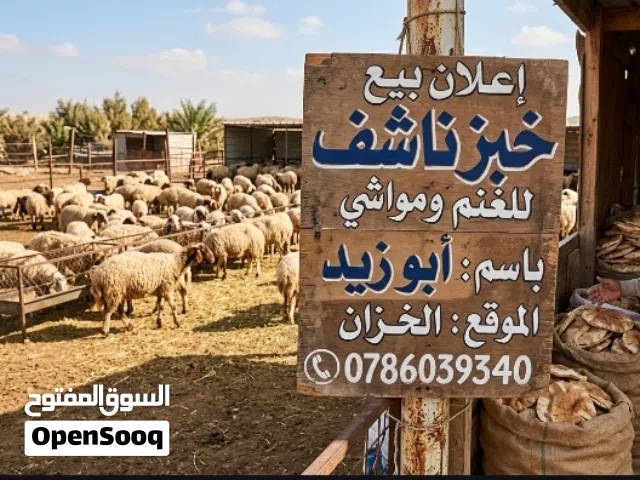 شوالات خبز ناشف