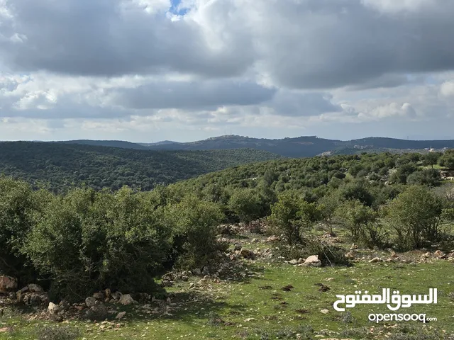 اجمل ارض في سامتا مطله تصلح لبناء بيت ريقي مفروزه